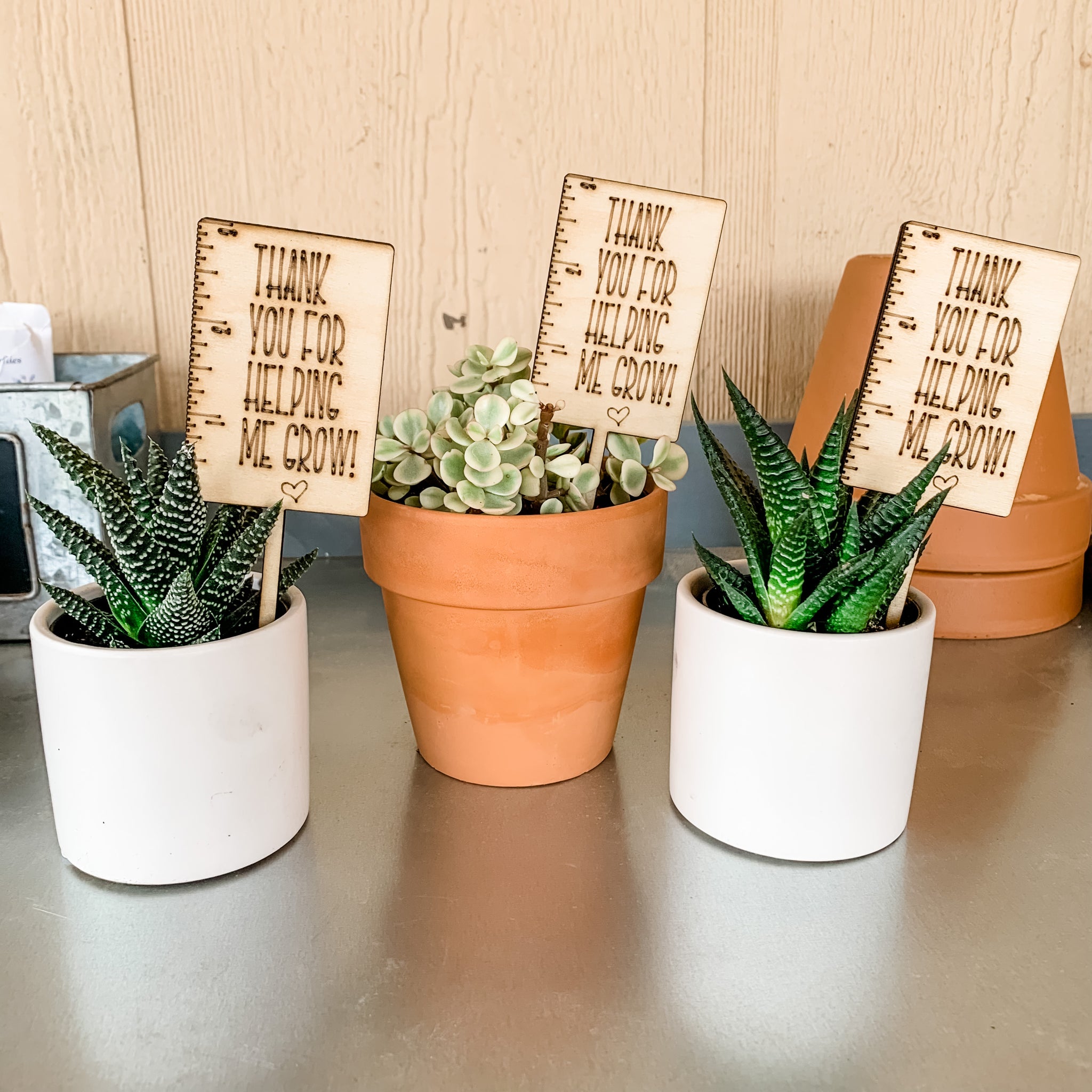 thank you for helping me grow pot plant Thank you for helping me grow Plant stick Markers Sign Gift Tags
